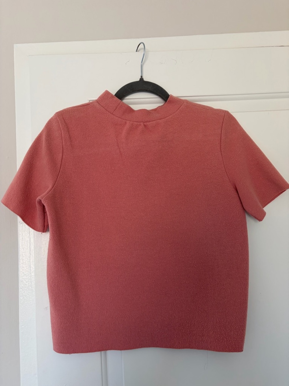 Zara sweater Short Sleeve Top in Dusty Rose